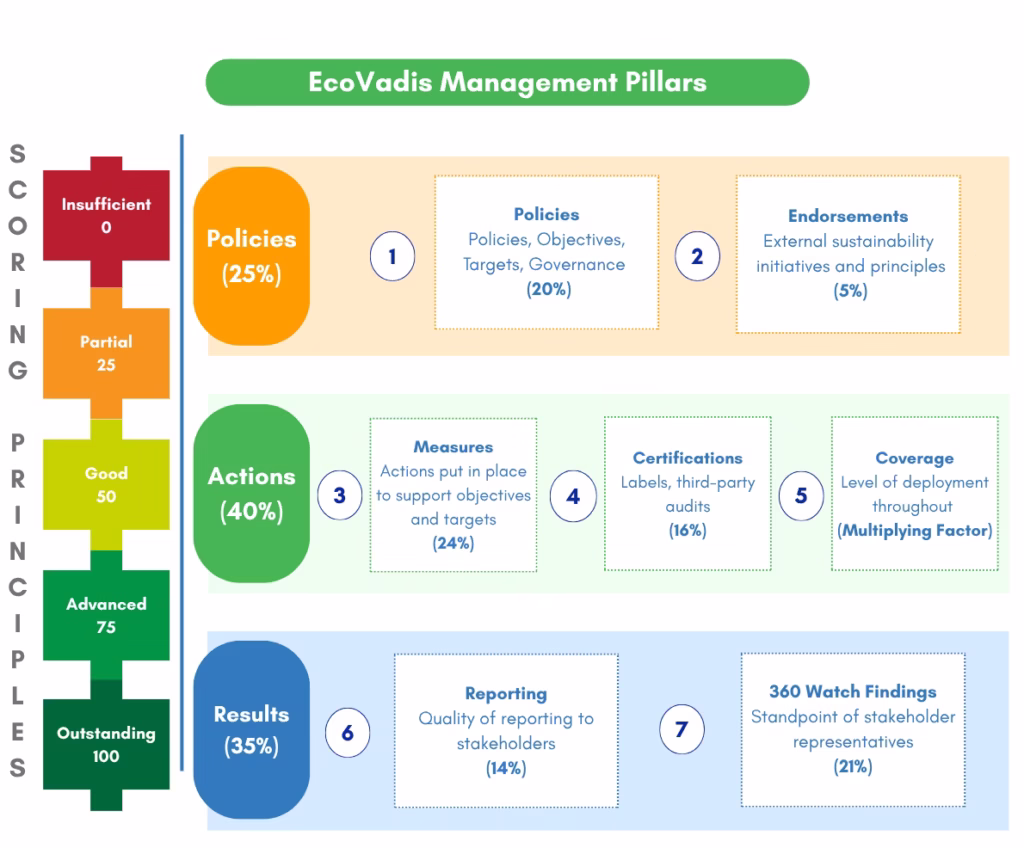 EcoVadis Management Pillars